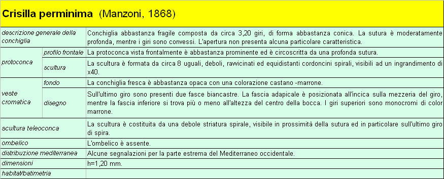 Il genere Setia e Crisilla nel Mediteraneo